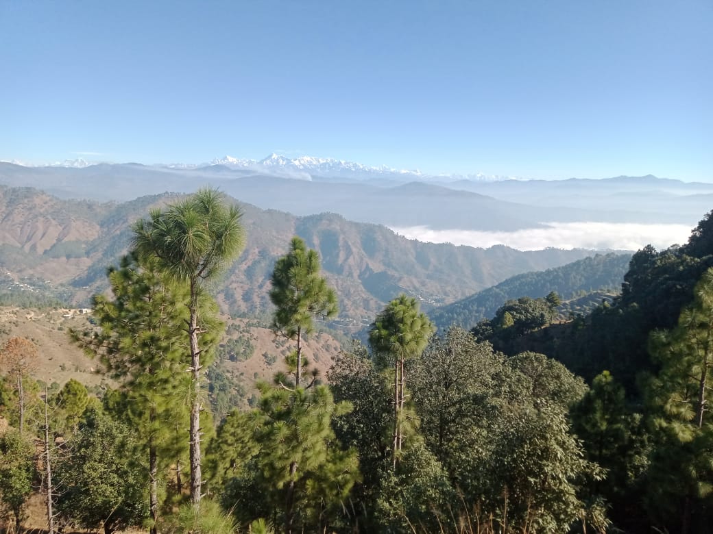 touristplace-Gangolihat